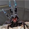 Vartotojo avataras
